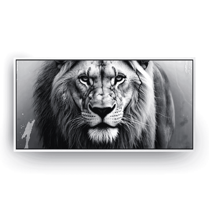 King’s Focus