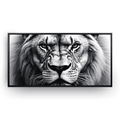 Lion’s Gaze