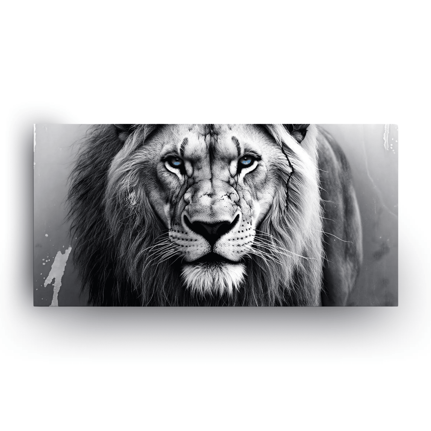 King’s Focus