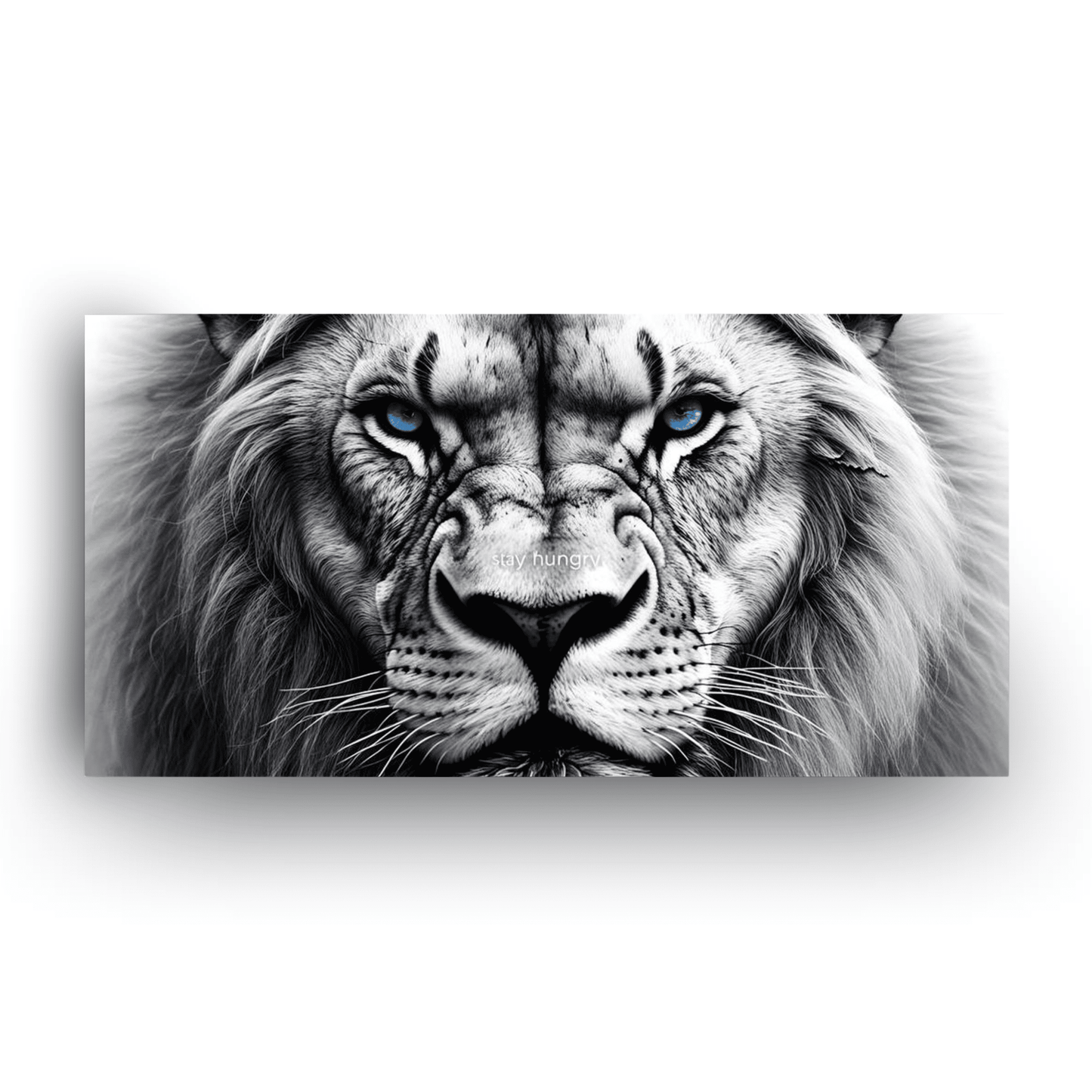 Lion’s Gaze