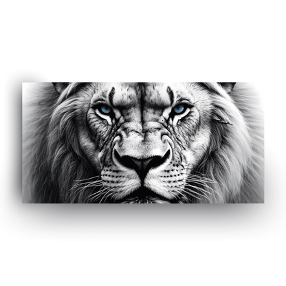 Lion’s Gaze