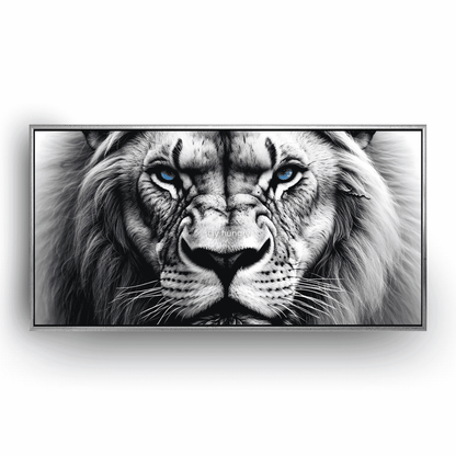 Lion’s Gaze